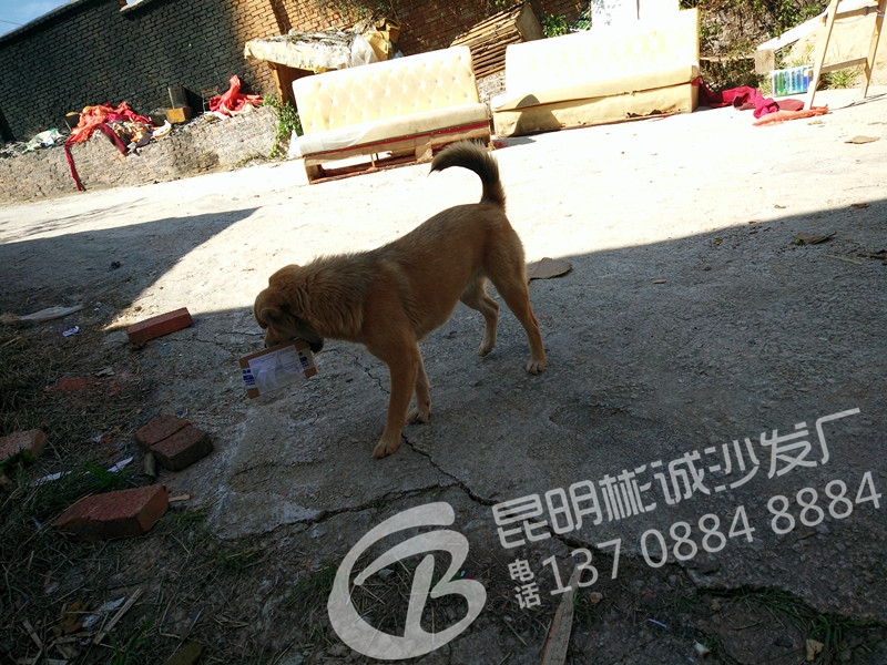 IMG20151118123935_.jpg