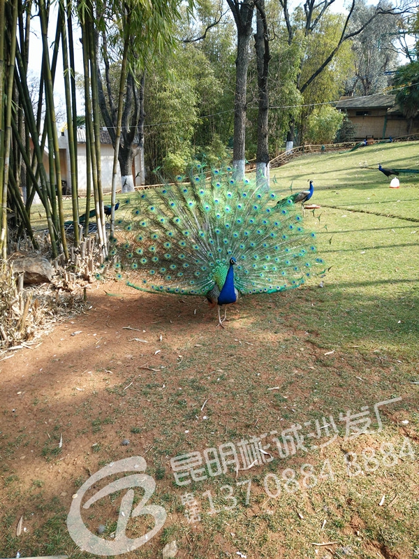 IMG20160229111126_.jpg