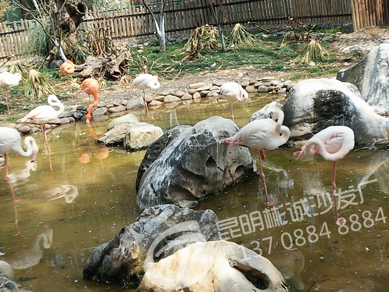 IMG20160229122117_.jpg