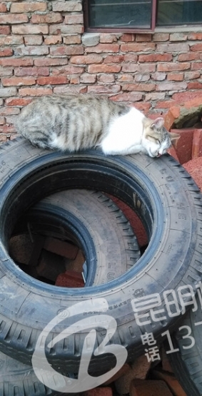 Ҽ˯